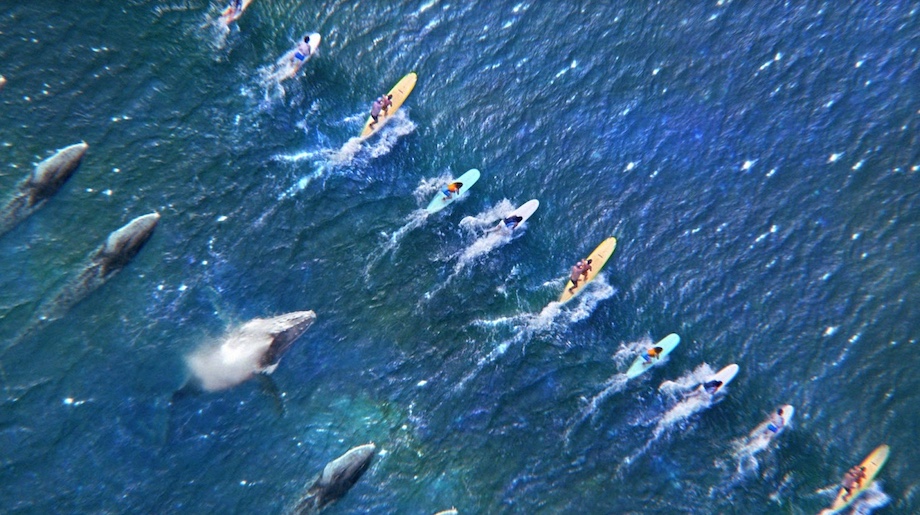 GOOD TiDES Hard Seltzer launches new ‘Where Good Tides Resides’ campaign via TBWA\Melbourne