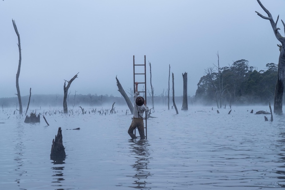 Hellyers Road journeys ‘Into the Unknown’ in newly launched brand film via Daughter