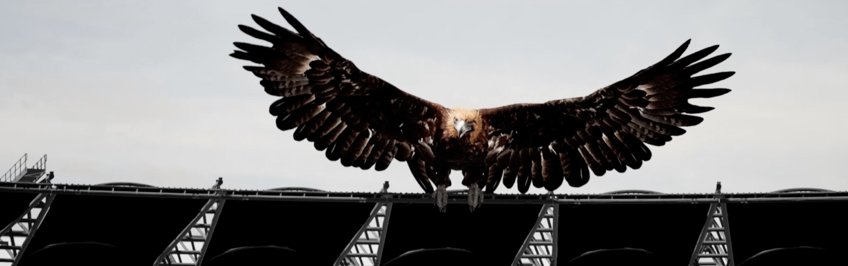 West Coast Eagles launches Australia’s first stadium mixed reality experience via KOJO Sport