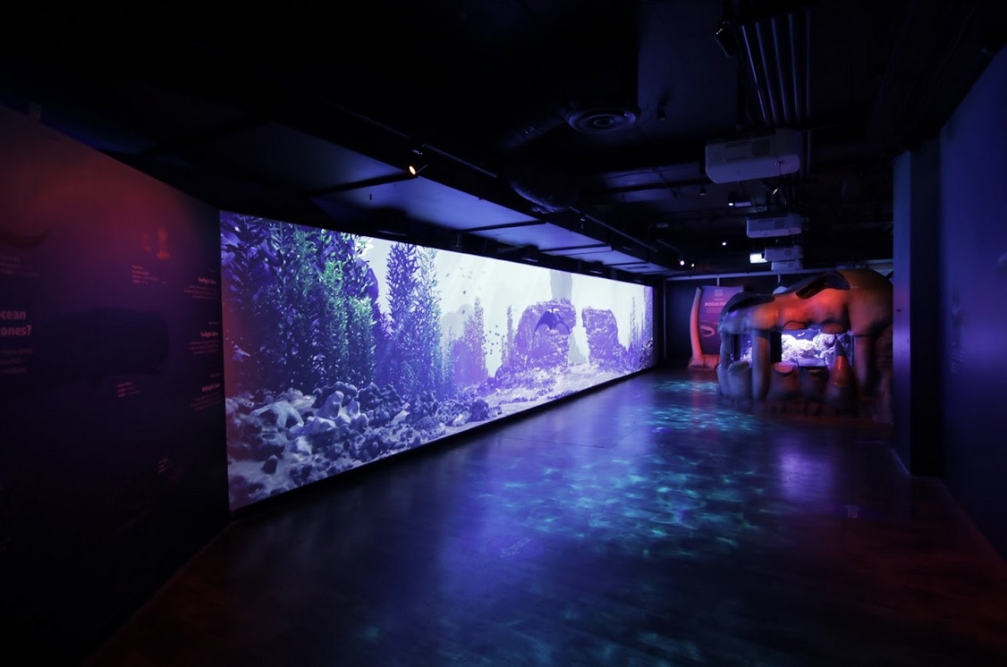 SEA LIFE Melbourne Aquarium launches new immersive digital experience via Method