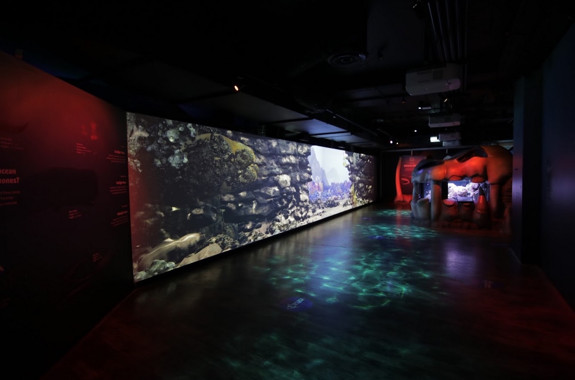 SEA LIFE Melbourne Aquarium launches new immersive digital experience via Method