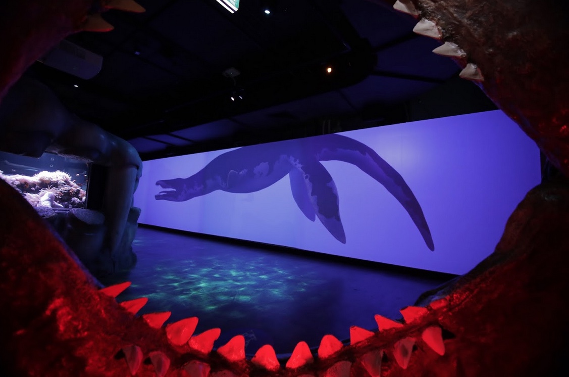 SEA LIFE Melbourne Aquarium launches new immersive digital experience via Method