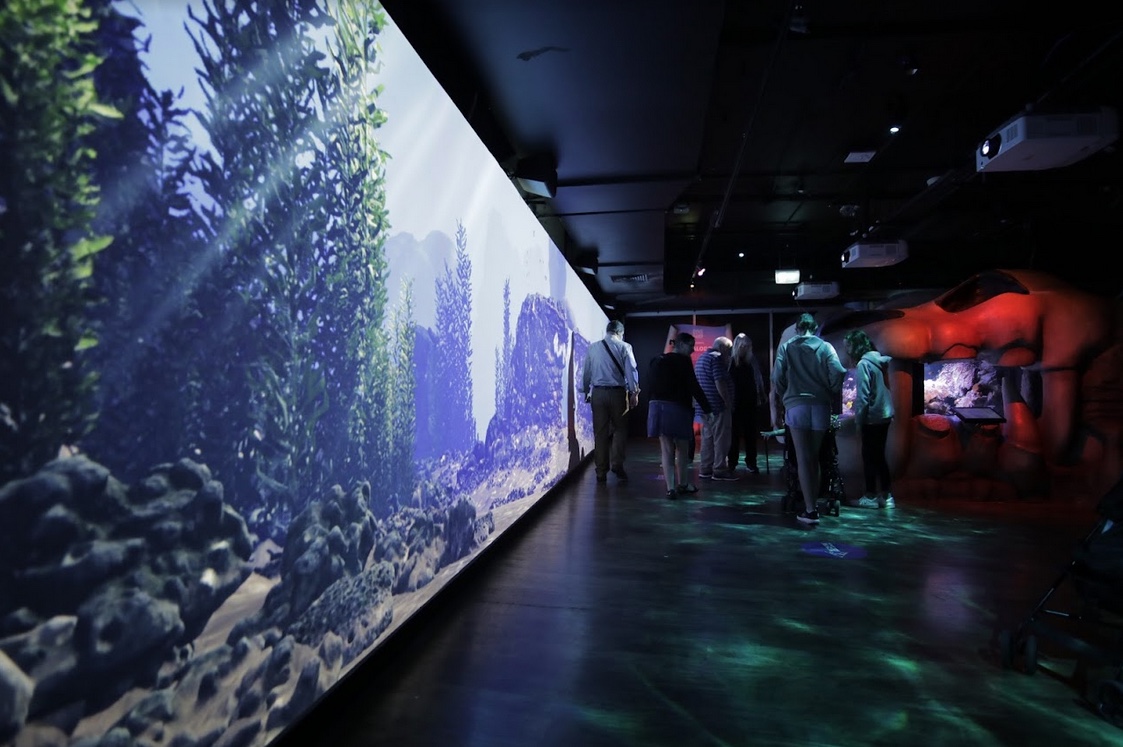 SEA LIFE Melbourne Aquarium launches new immersive digital experience via Method