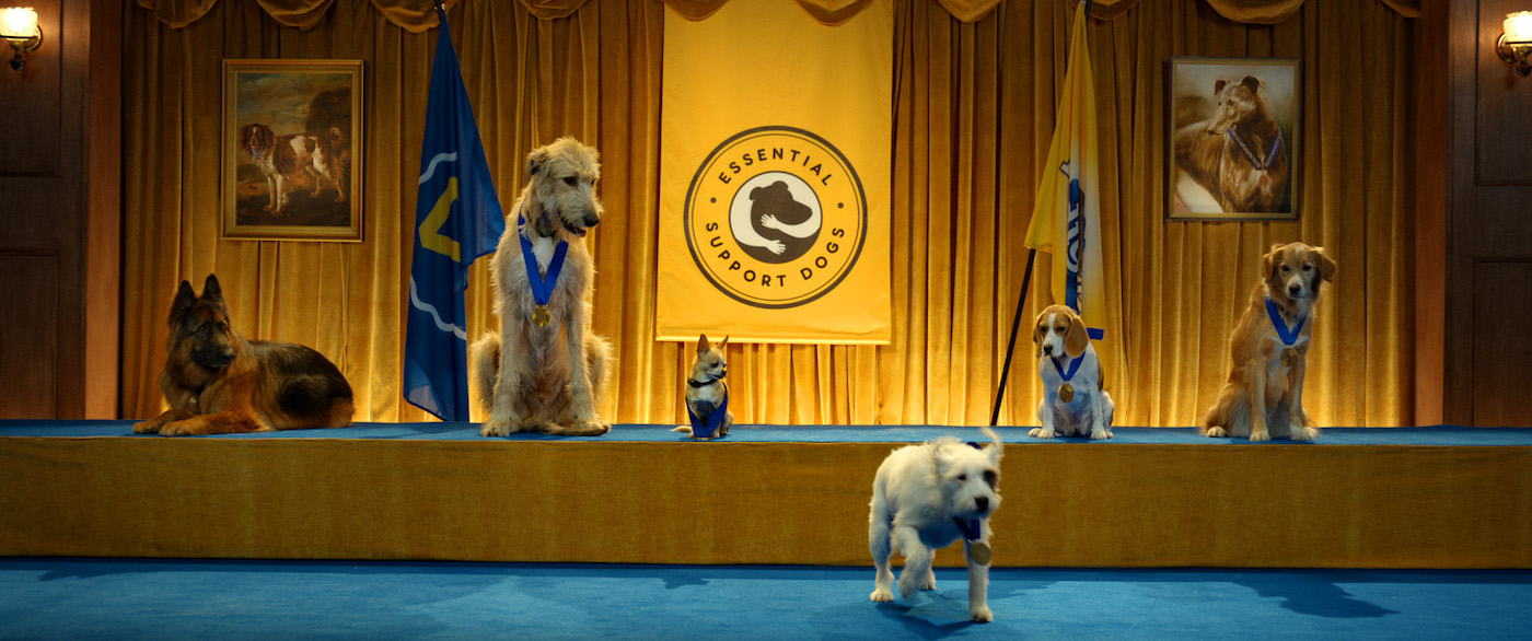 Pedigree celebrates all dogs as essential supporters in global campaign via Colenso BBDO