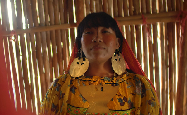 Sweetshop & Green’s feature documentary ‘The Endangered Generation?’ to debut at MIFF