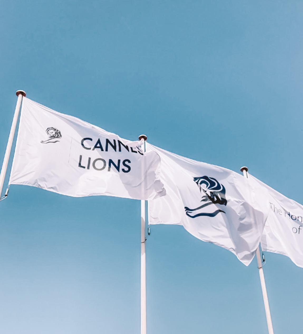 Bec Matlioski: Cannes from the classroom