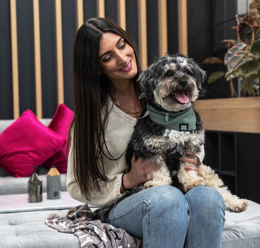 Cheil helps employees celebrate International Dog Day with their furry-friends