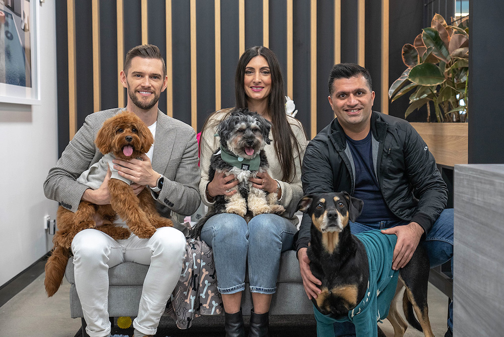 Cheil helps employees celebrate International Dog Day with their furry-friends