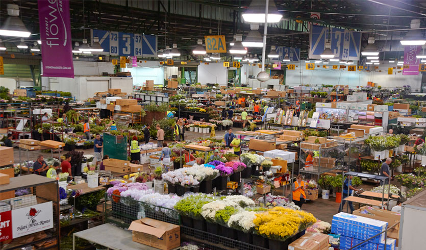 Sydney Markets appoints Clemenger BBDO Sydney as new agency following a competitive pitch