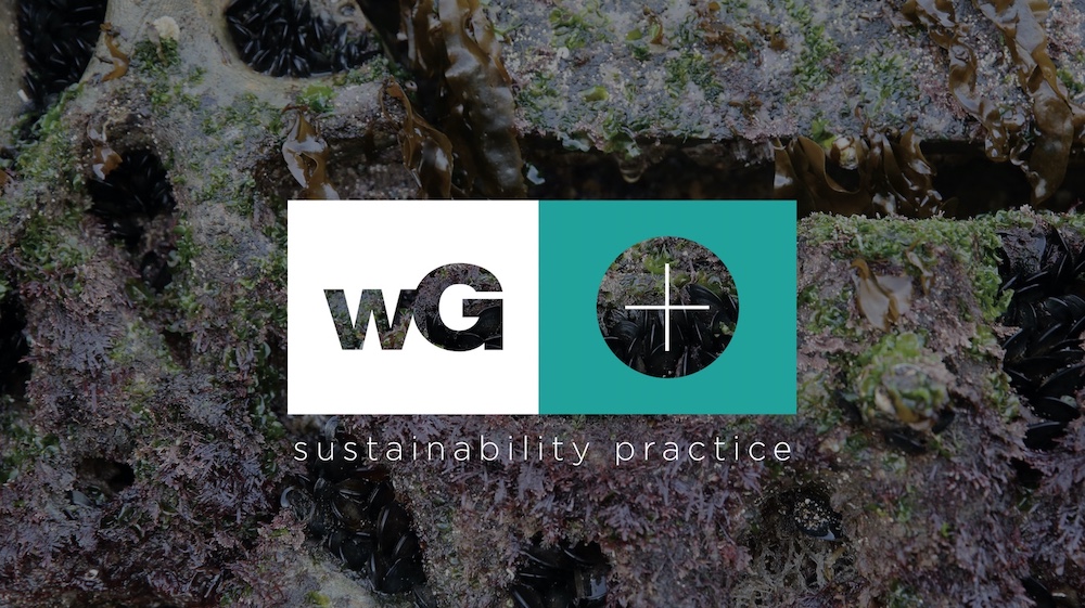 whiteGREY launches new dedicated sustainability practice whiteGREY Positive
