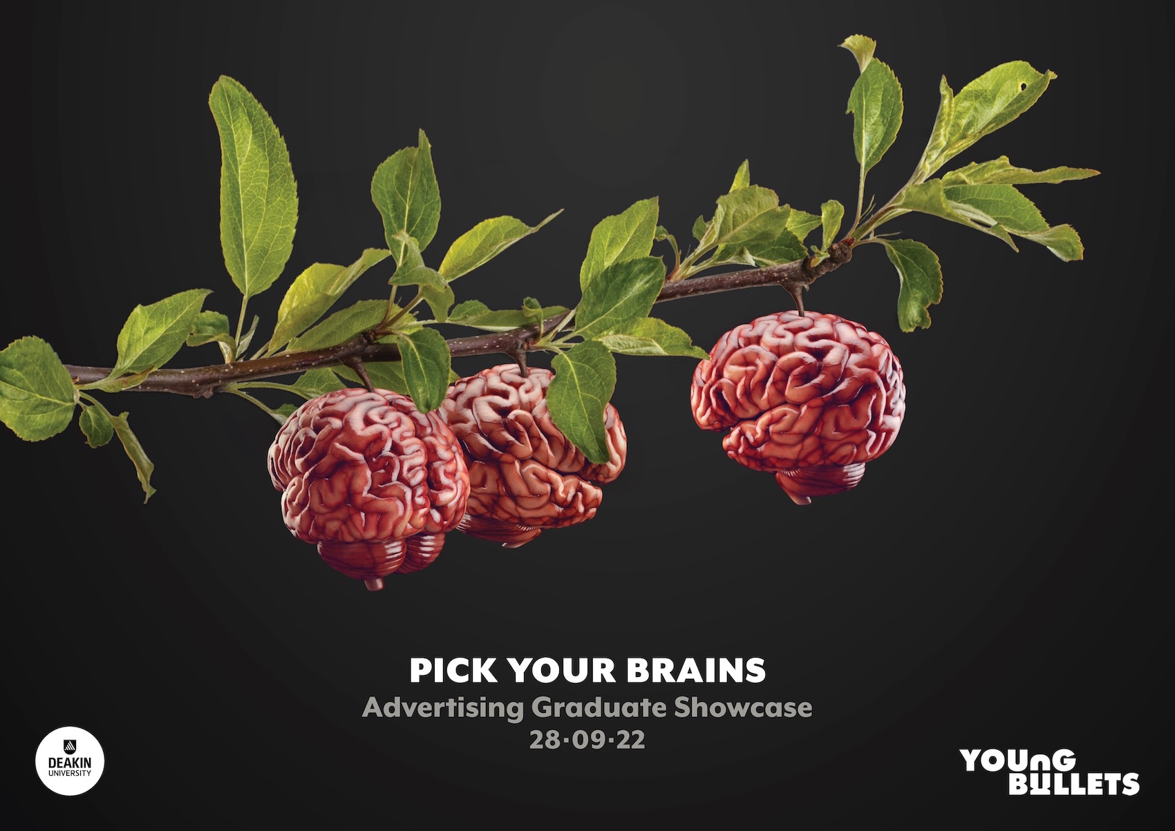 Deakin AdBrains ripe for the picking at 2022 Young Bullets Graduate Showcase on Sept 28