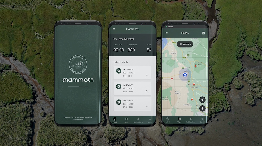 Sheldrick Wildlife Trust launches Mammoth innovation to protect the African Elephant using the power of data via whiteGREY Positive