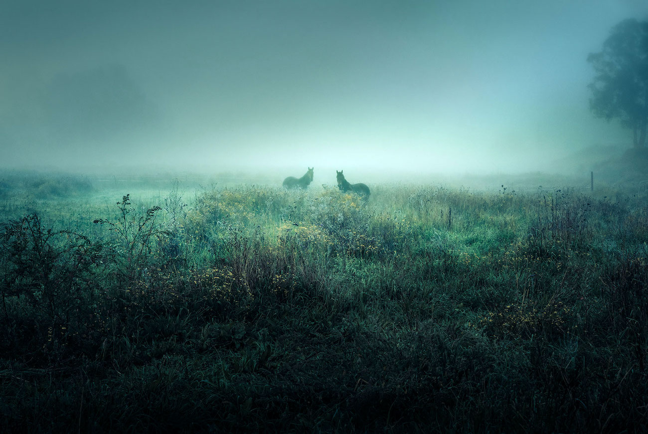 Collider’s Damon Cameron curates first solo photography exhibition ‘2849’ in Sydney