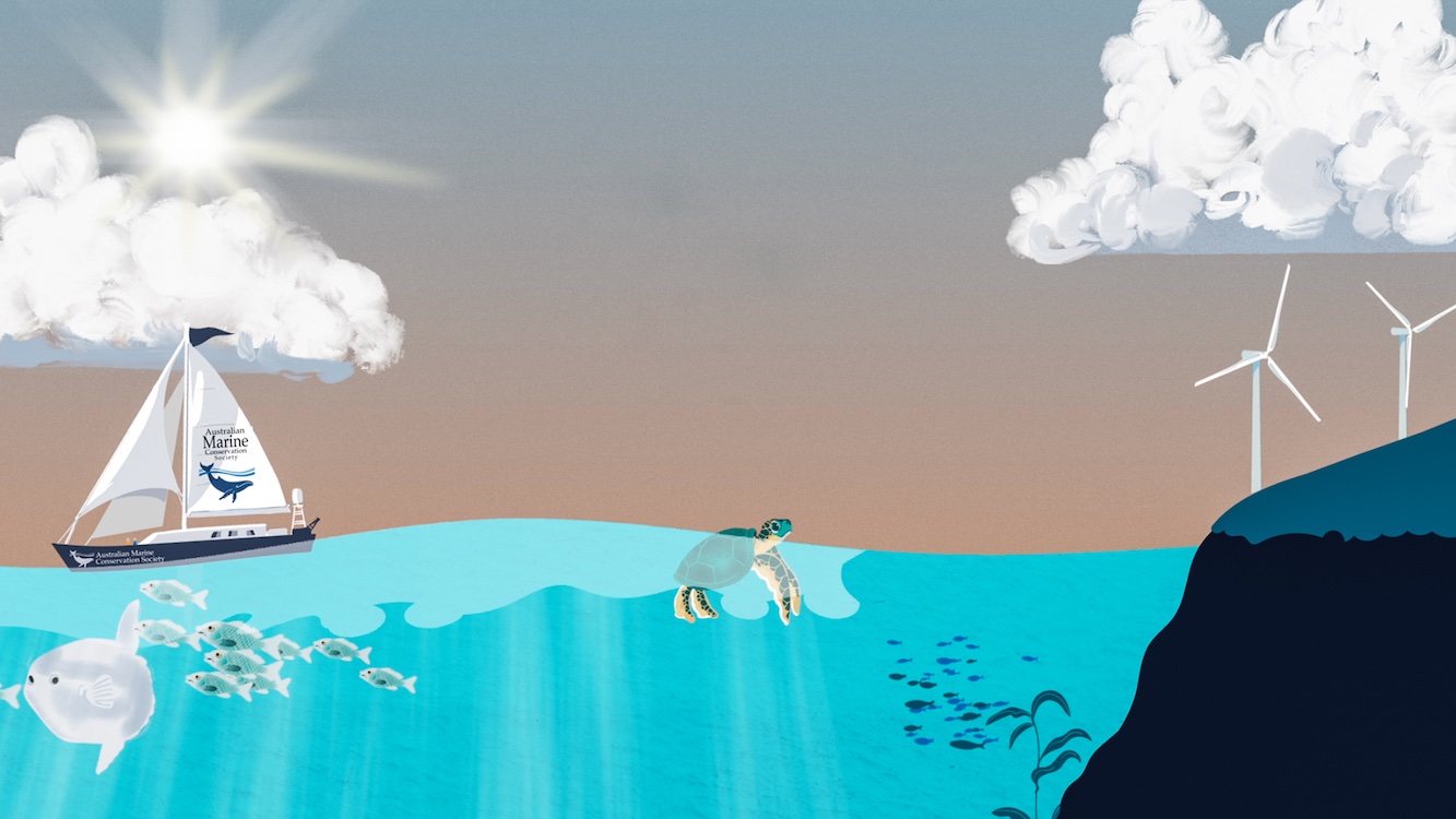 The Australian Marine Conservation Society launches the ‘national anthem of the ocean’ with John Williamson in new campaign via Innocean