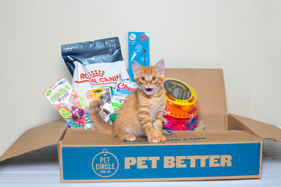 Pet Circle appoints AnalogFolk as creative social media agency following a competitive pitch
