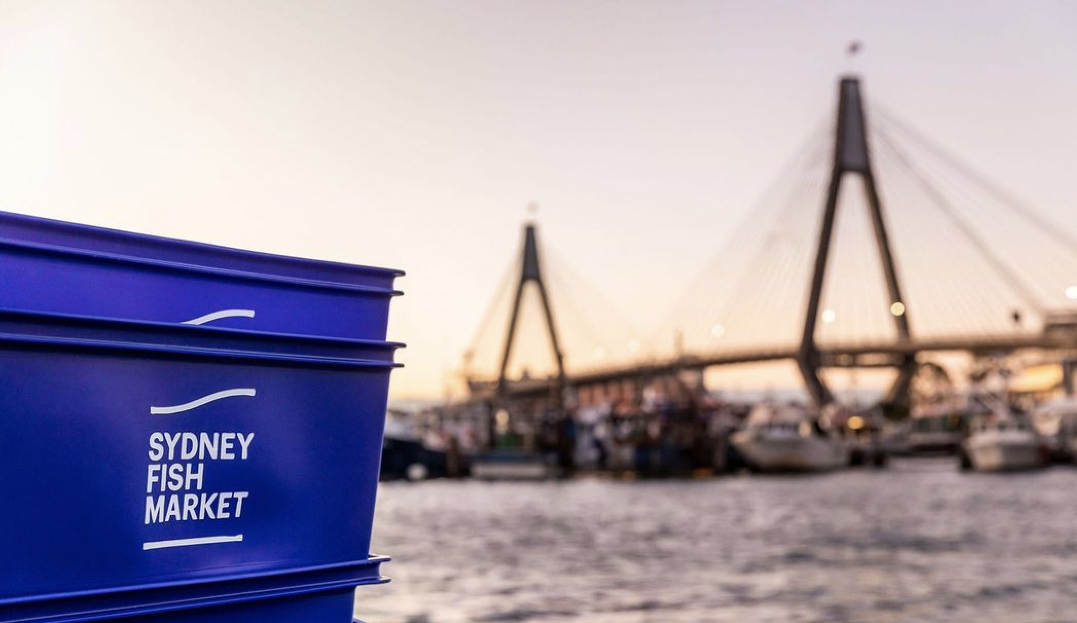 Sydney Fish Market launches rebrand via Interbrand