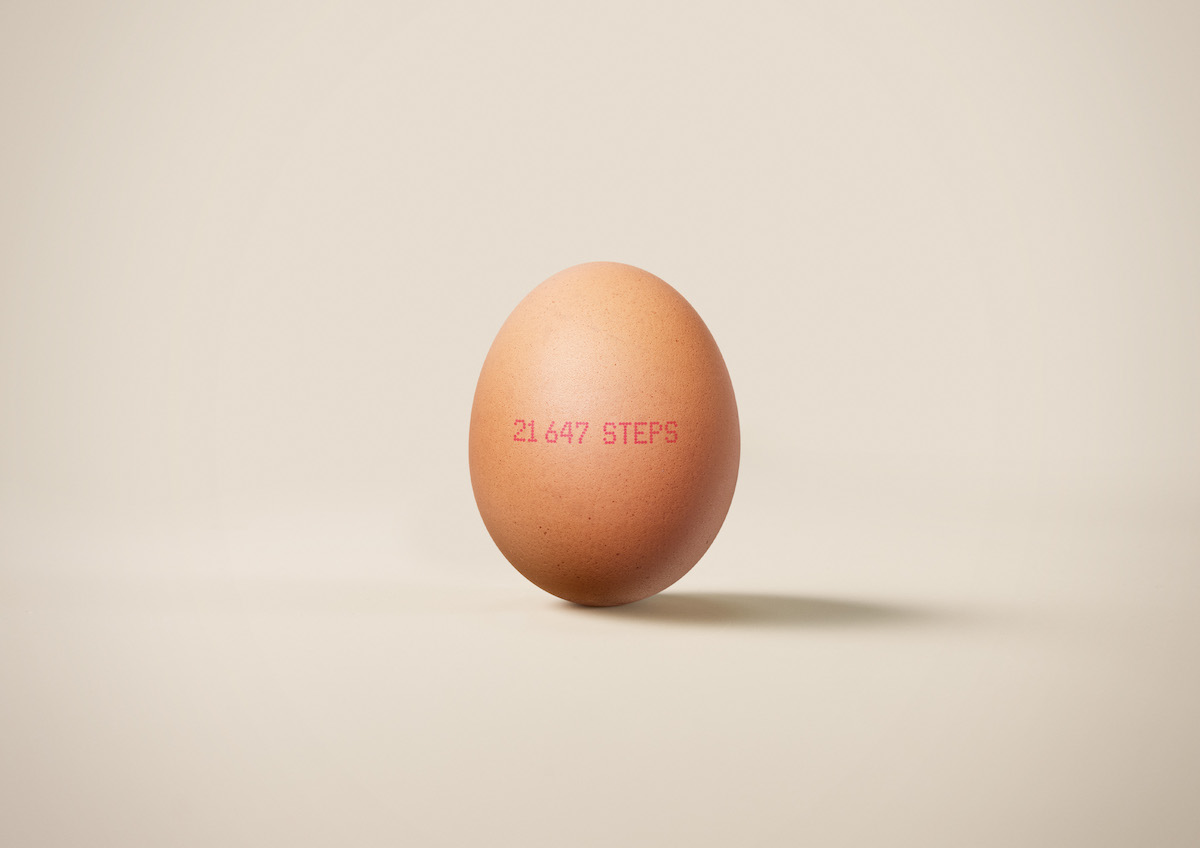 Honest Eggs Co. launches FitChix fitness trackers designed for chickens via VMLY&R and AIRBAG