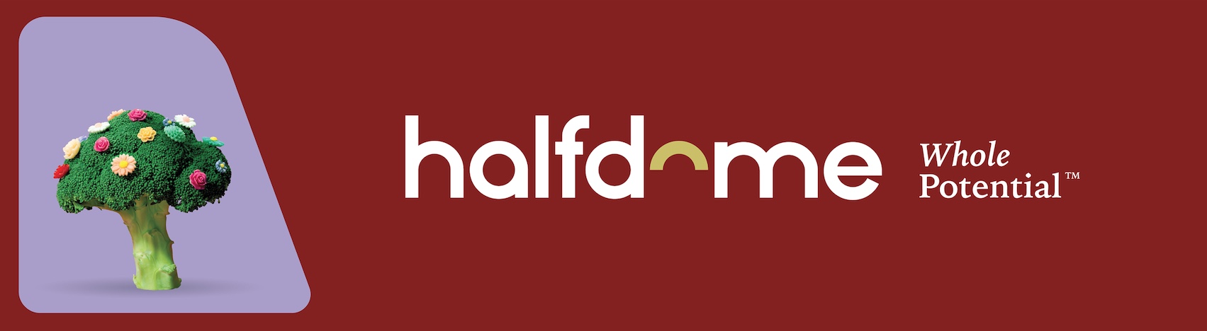 Media agency Half Dome launches new brand identity and campaign via By All Means
