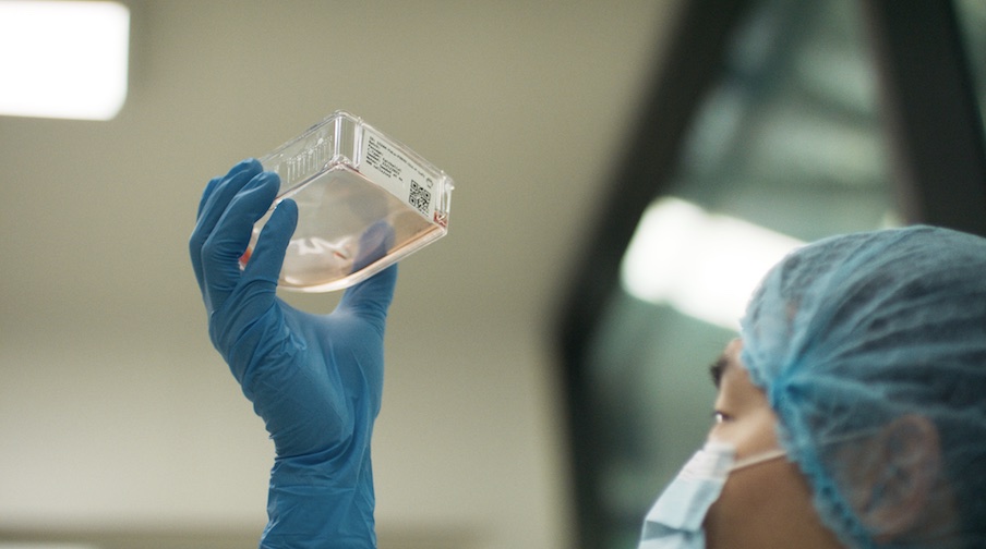 Wunderman Thompson and Australian cultured meat start-up Vow lead project to create world’s first meatball made from extinct animal DNA
