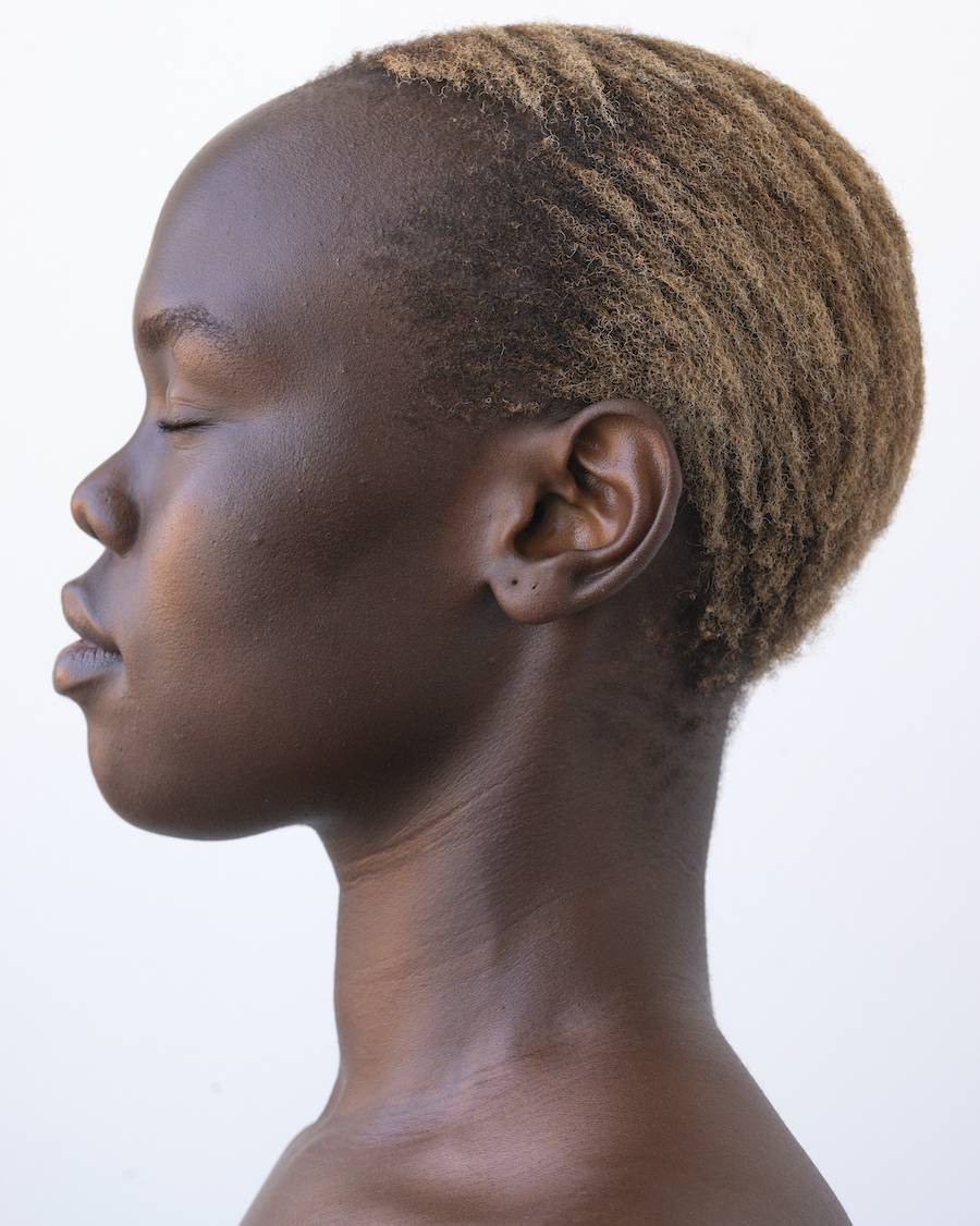 endota celebrates wellbeing and strength with new brand evolution via Bastion
