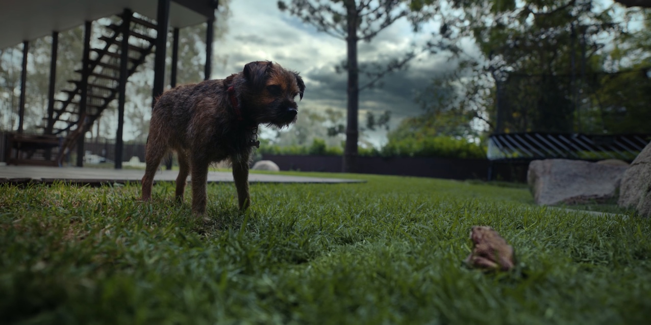 Suncorp launches next iteration of its Resilience platform with new ‘If Your Home Could Talk’ campaign via Leo Burnett Australia