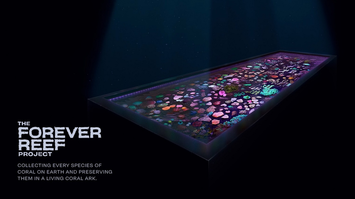 The Great Barrier Reef Legacy launches new campaign to raise funds for The Forever Reef Project via M&C Saatchi Group