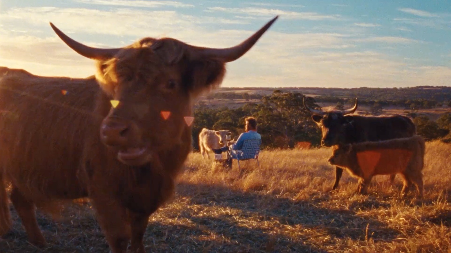 Director Courtney Brookes joins Good Oil for exclusive representation in Australia and NZ