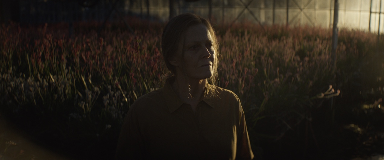 Exit director Glendyn Ivin completes Amazon Prime series ‘The Lost Flowers of Alice Hart’