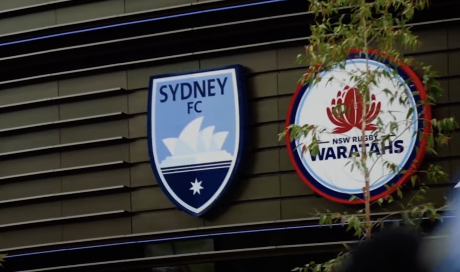 Sydney FC uses Storyblok’s CMS to build digital experiences to boost match day revenue by 370%