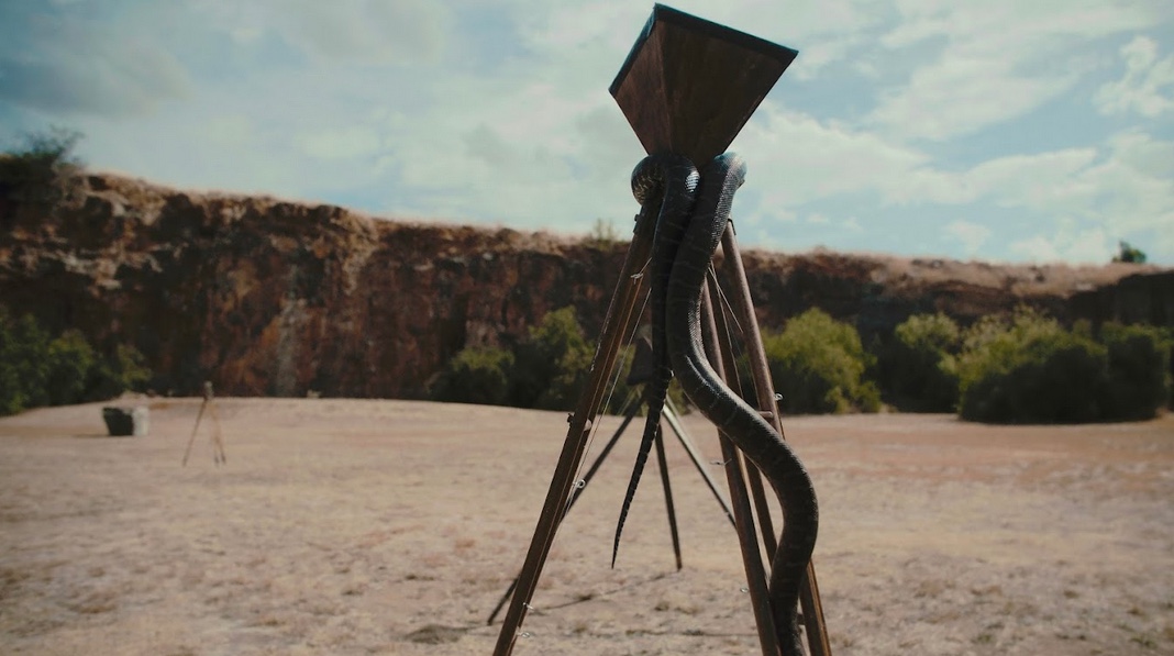 Australasian artist Jen Valender named Australian winner in M&C Saatchi Group and Saatchi Gallery’s Art for Change Prize initiative