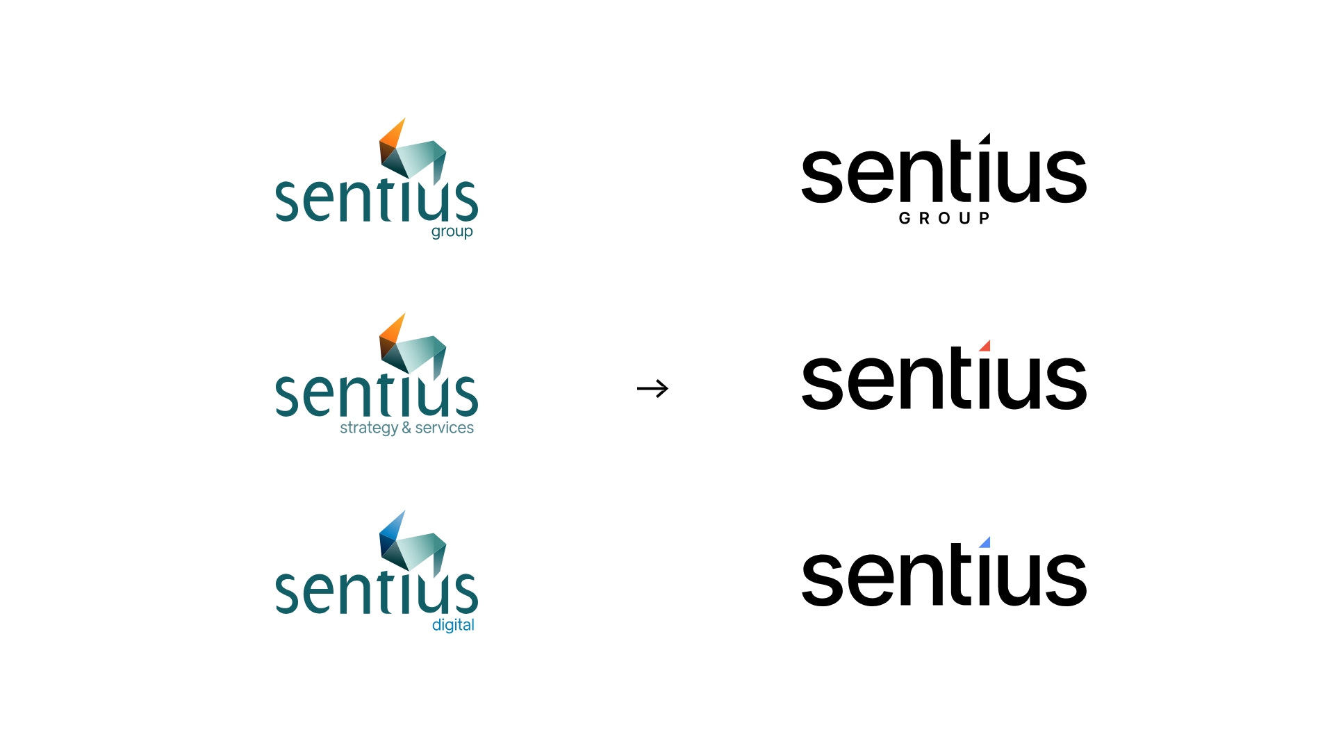 Sentius Group unveils two business re-brands: Sentius and Shark Digital as it relocates office