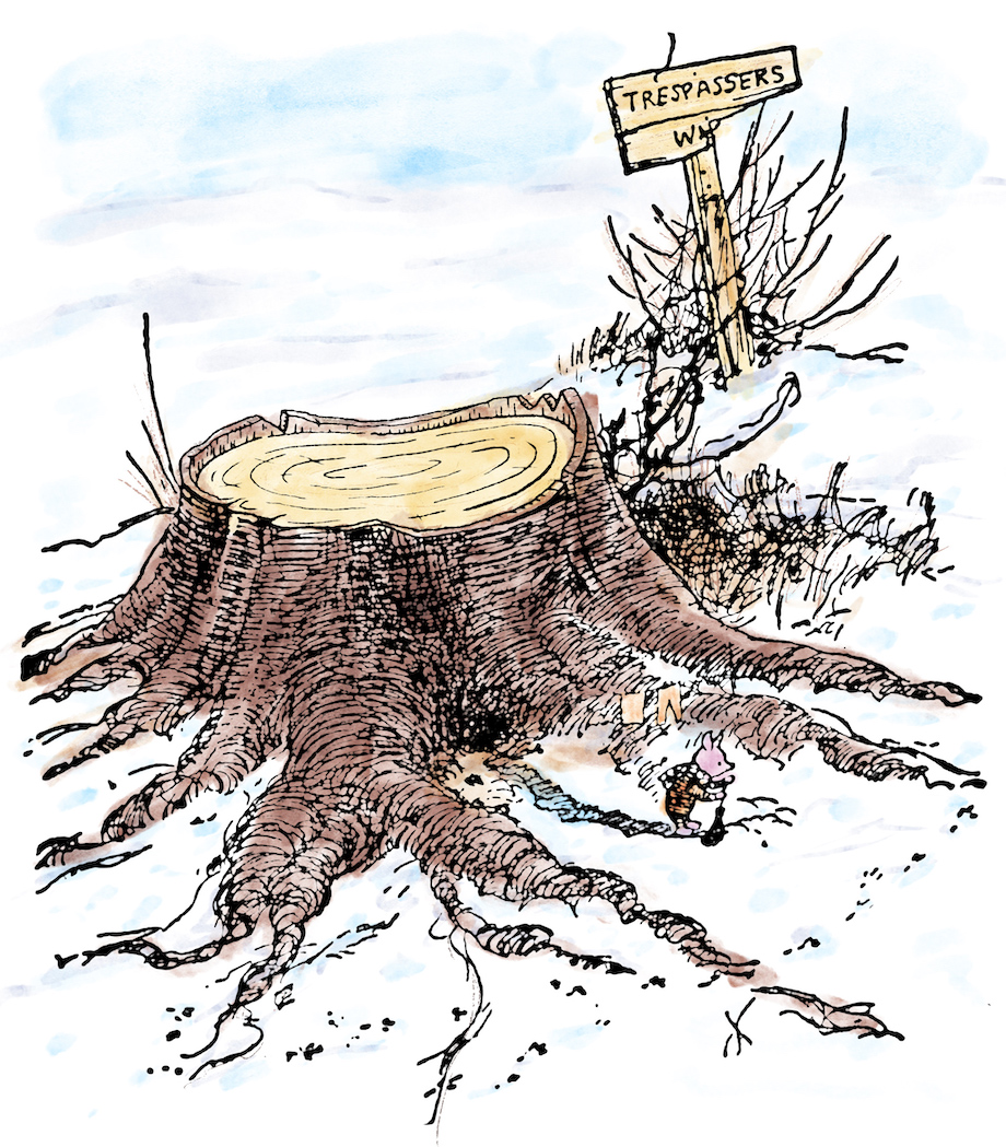 Who Gives A Crap reimagines A.A. Milne’s Winnie-the-Pooh to highlight the impact of deforestation in new campaign via Eleven and TBWA Melbourne