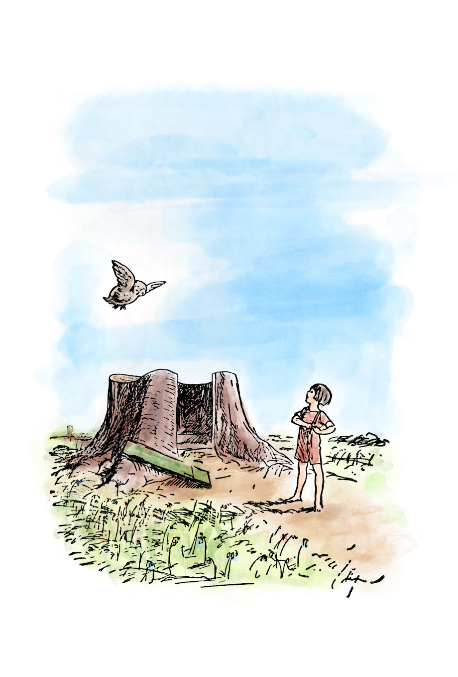 Who Gives A Crap reimagines A.A. Milne’s Winnie-the-Pooh to highlight the impact of deforestation in new campaign via Eleven and TBWA Melbourne