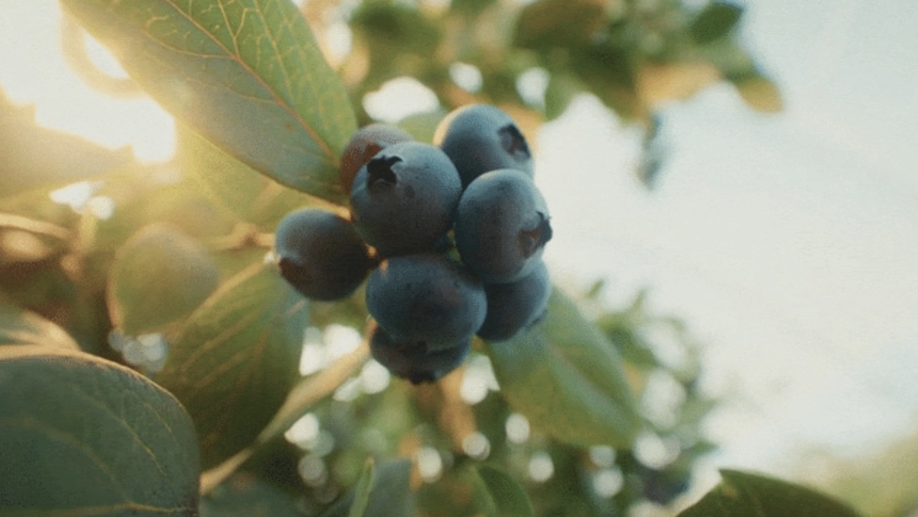 Merv’s Jonathan May travels around Australia to capture ‘Real Stories’ for new Coles campaign