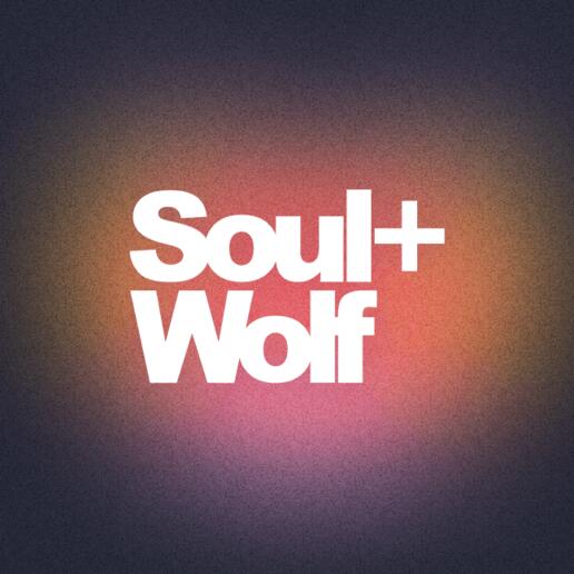 Soul+Wolf scores Partner of the Year win at Google Premier Partner Awards 2023