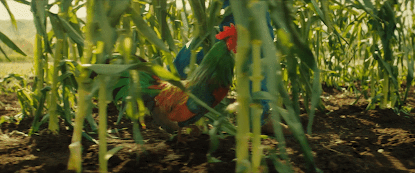 Kellanova launches new brand campaign with Bastion’s first work for Kellogg’s Corn Flakes