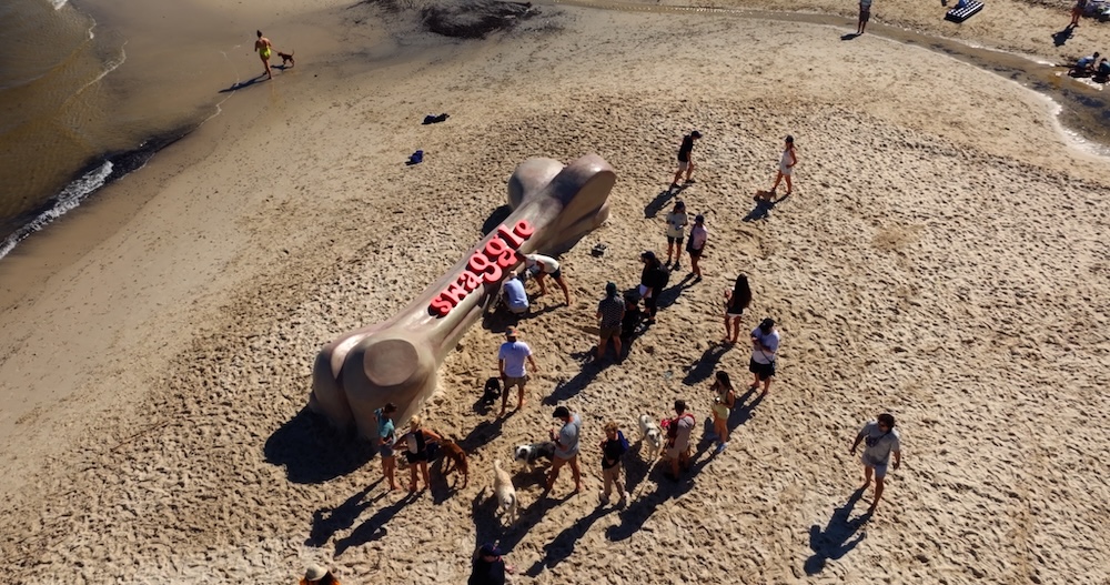 Dogs dig up prehistoric looking bone to launch new pet retailer Swaggle via The General Store