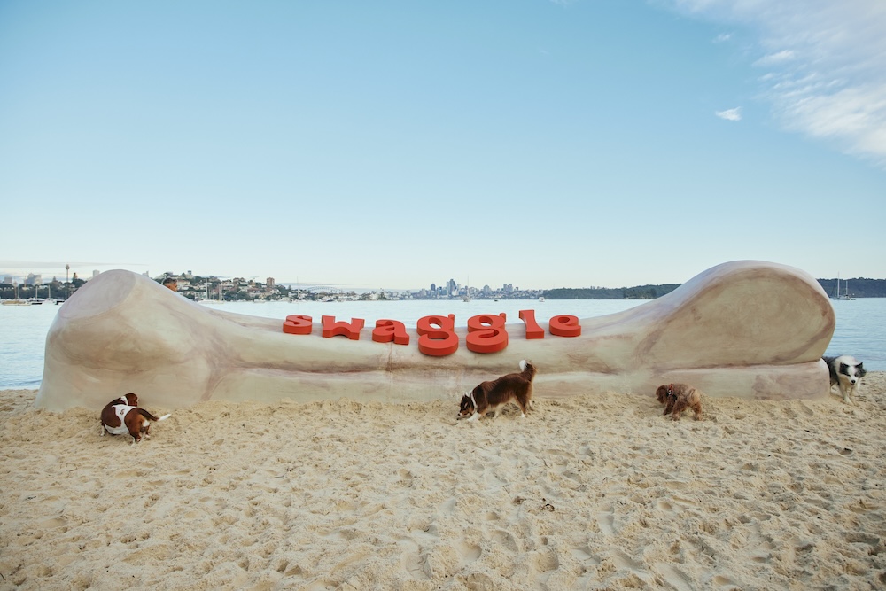 Dogs dig up prehistoric looking bone to launch new pet retailer Swaggle via The General Store