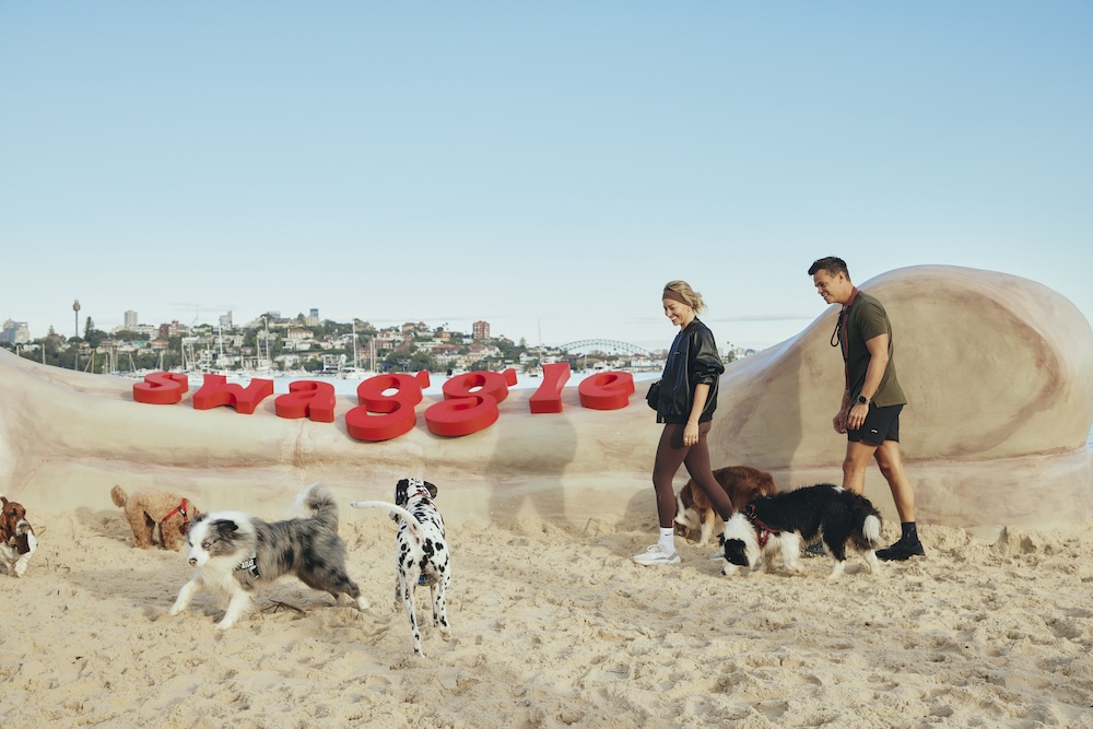 Dogs dig up prehistoric looking bone to launch new pet retailer Swaggle via The General Store