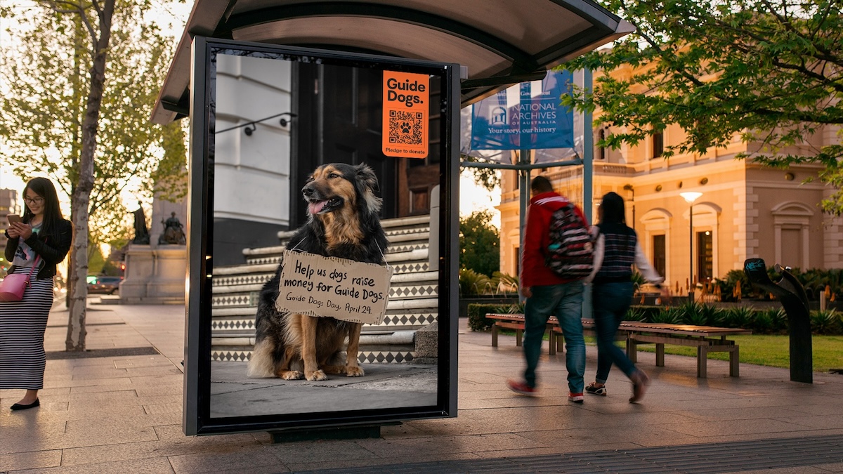 Ordinary dogs unite for Guide Dogs SA/NT in latest fundraising campaign via kwpx Adelaide
