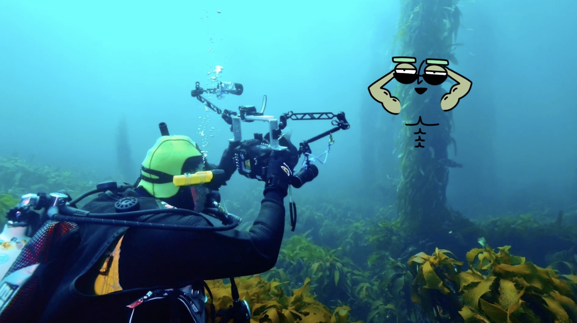 New campaign ‘The Invisible Forest’ launches via Emotive to showcase how Google AI is helping restore Tasmania’s giant kelp forests