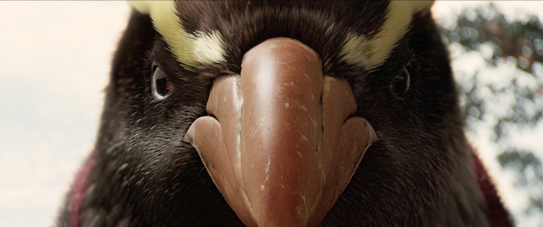 Contact helps Kiwis reduce energy consumption during peak hours in new TV spot via Special NZ