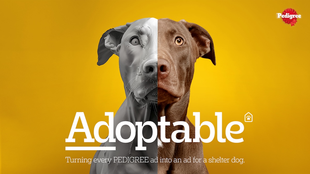 Pedigree puts real dogs from local shelters at the centre in new ‘Adoptable’ campaign via Colenso BBDO and Nexus Studios