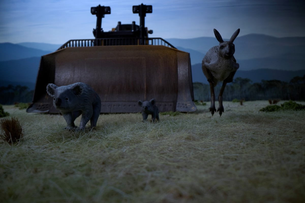 Photoplay director Dropbear fights for Aussie forests in latest campaign for Greenpeace