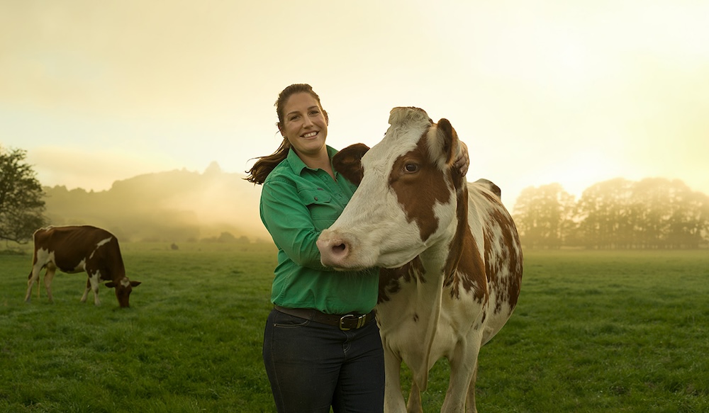 Bega Group appoints The Royals to Dairy Farmers brand following pitch managed by Madclarity