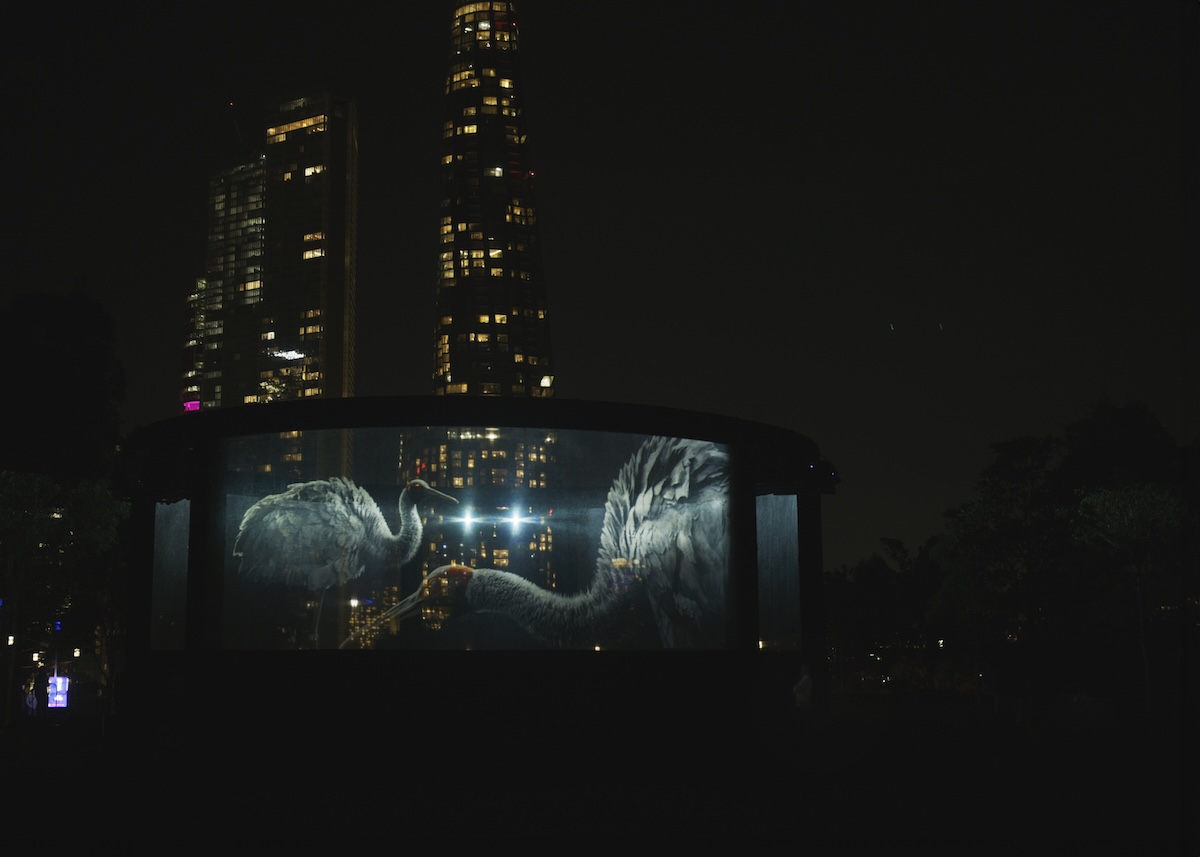 Photoplay and artists Leila Jeffreys and Melvin J. Montalban create NEST for VIVID Sydney
