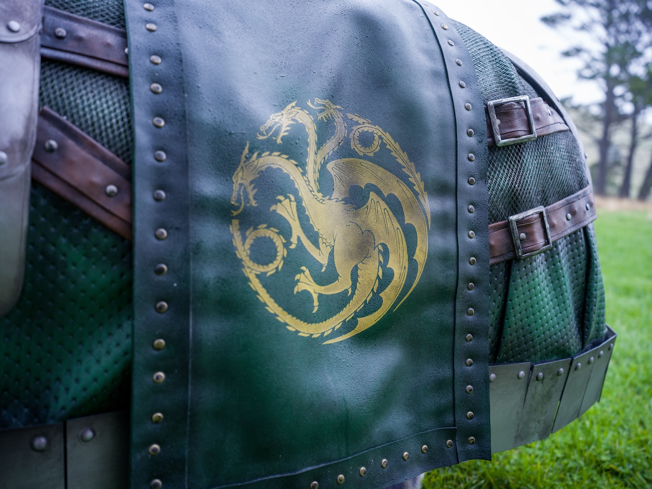Neon protects the nation’s most vulnerable in latest ‘House of the Dragon’ campaign via DDB NZ