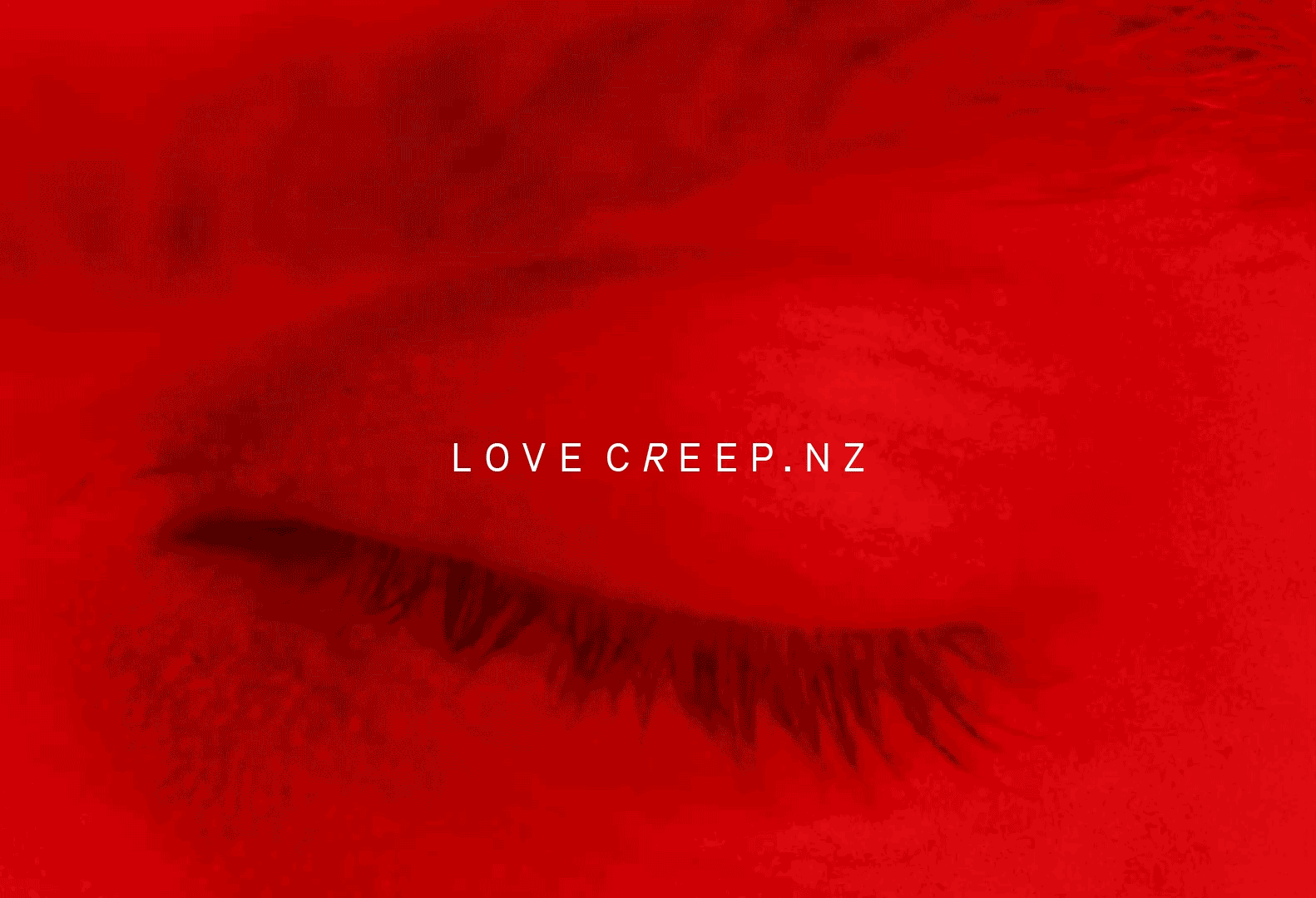 Is your love creeping? MSD helps young people find out in new campaign via CLEMENGER UNLTD