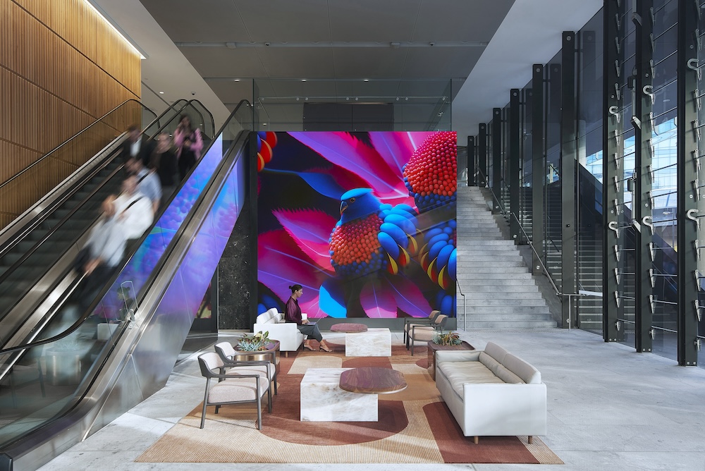 VANDAL wins 2024 Good Design Award for ‘Natural Rhythms of Australia’