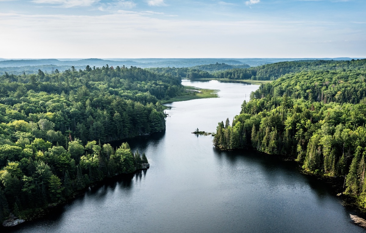 AANA launches new Environmental Claims Code to combat greenwashing